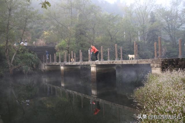 寻找皖南川藏线最美秋色红杉林,2019年皖南川藏线秋色
