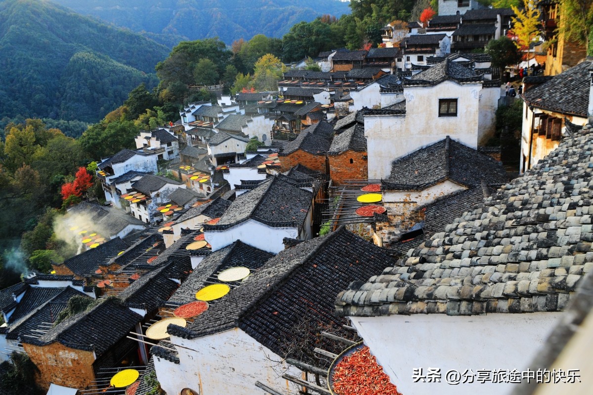 庐山旅游团2日游报价,暑假庐山三日游跟团游价格包吃住