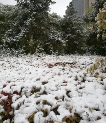 兰州大学萃英学院,央视评价兰州大学