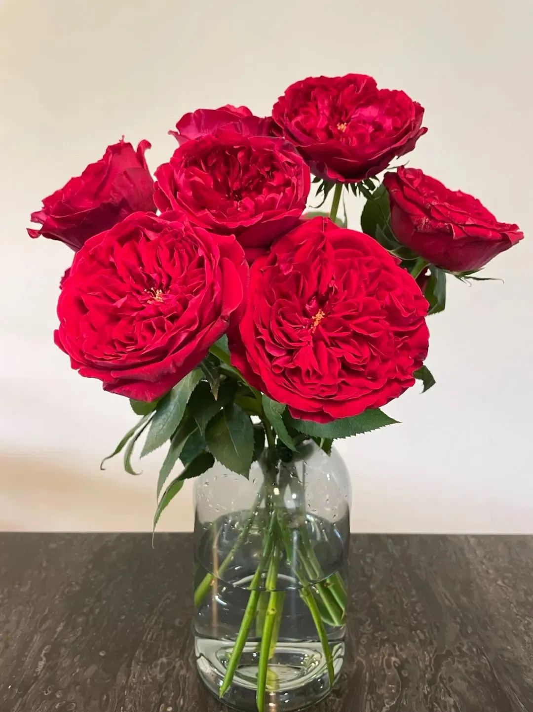 鲜花在水里能养几天会死,新加坡盆栽花卉怎么养