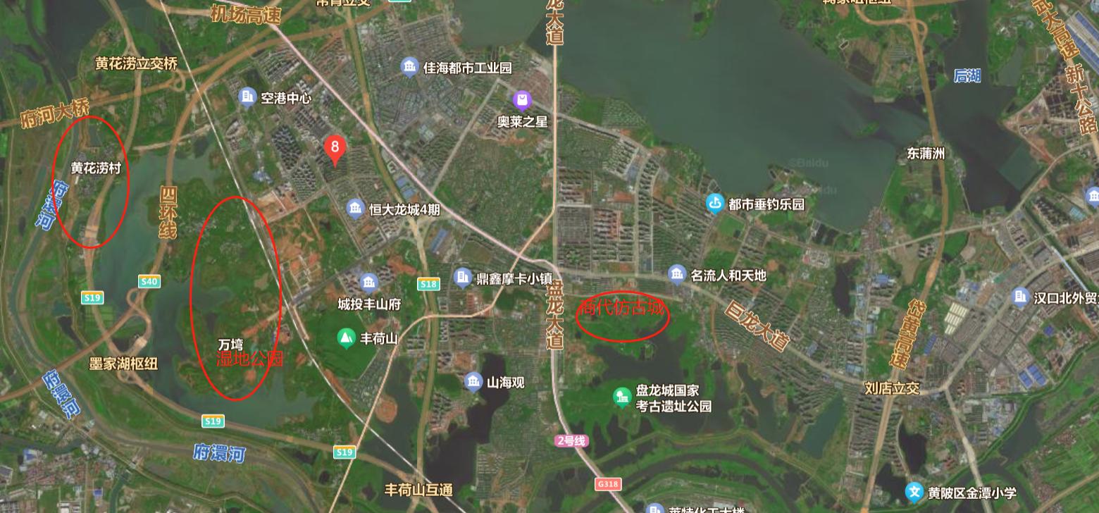 盘龙城发展前景规划,盘龙城和长江新区哪里潜力大