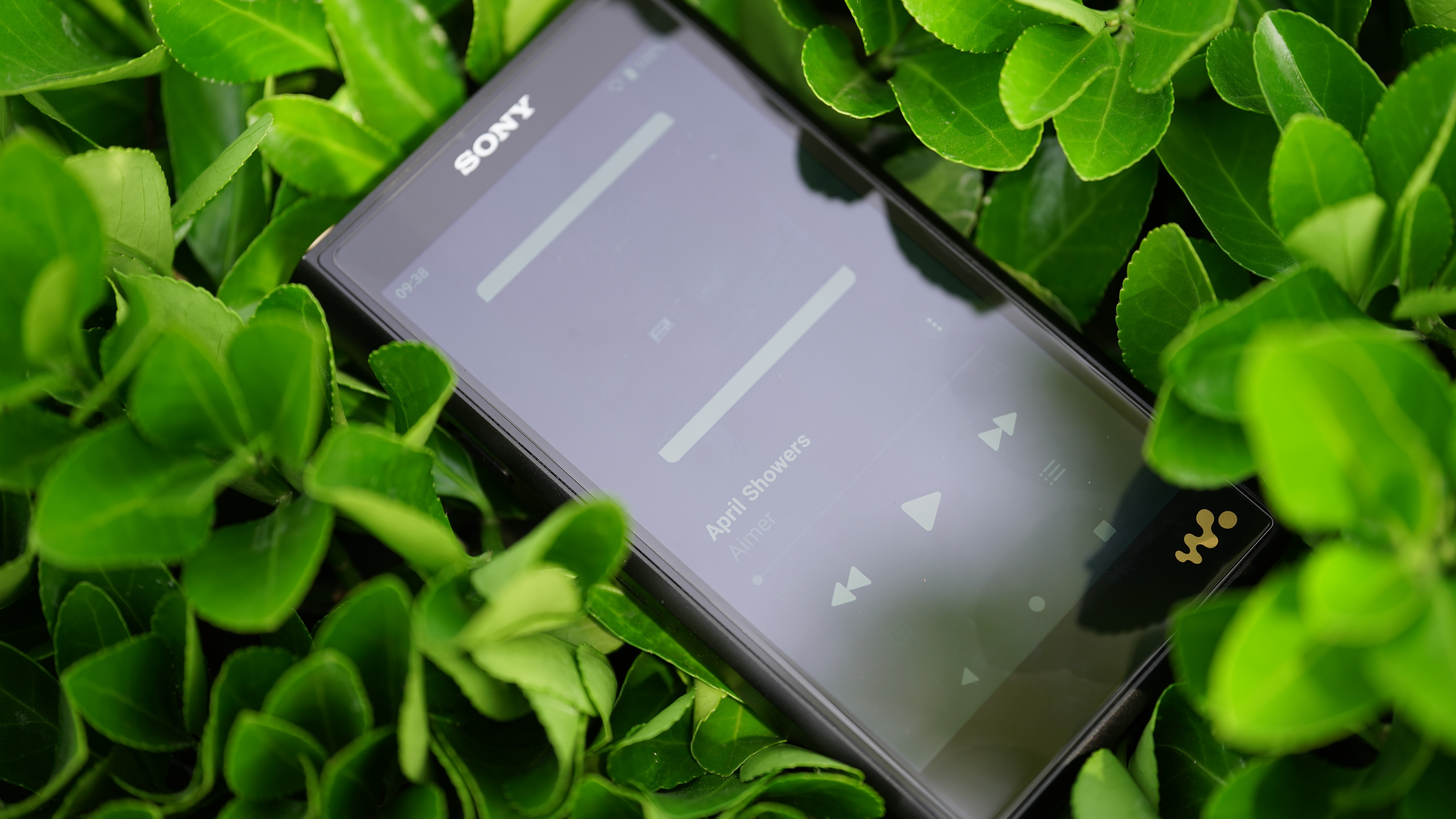 索尼walkmanwm2,索尼wm1zm2使用说明