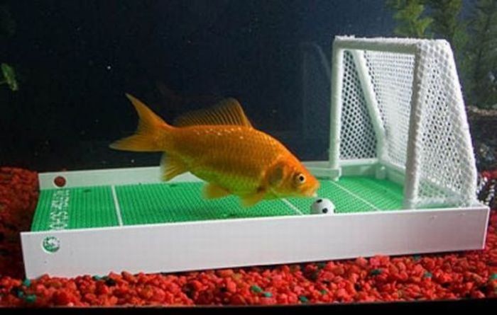 100个难得一见照片,难得一见12张照片