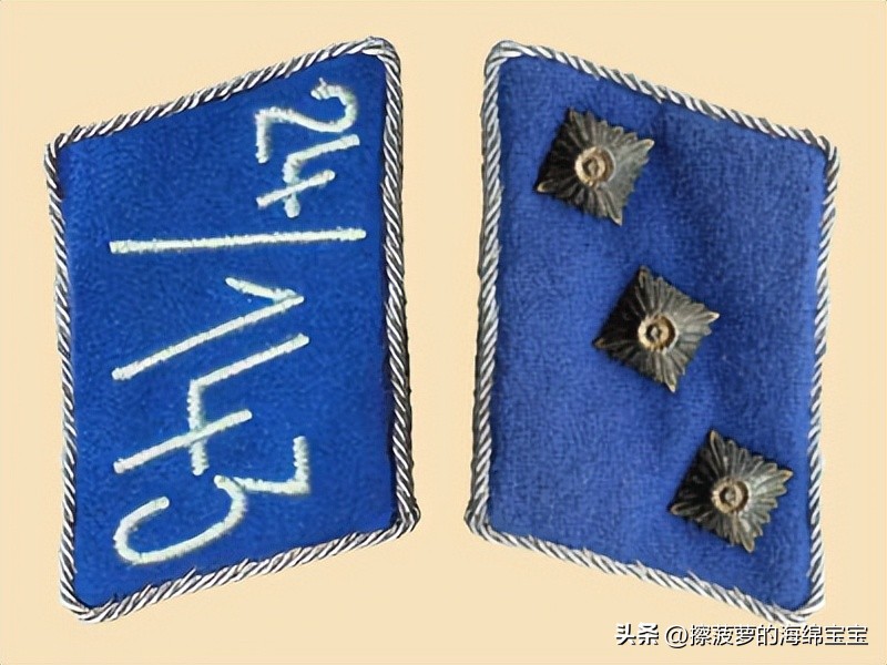 纳粹冲锋队用的什么枪,纳粹德军军衔图解