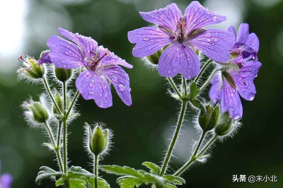 开挂必须要知道的知识,开挂需要知道的知识