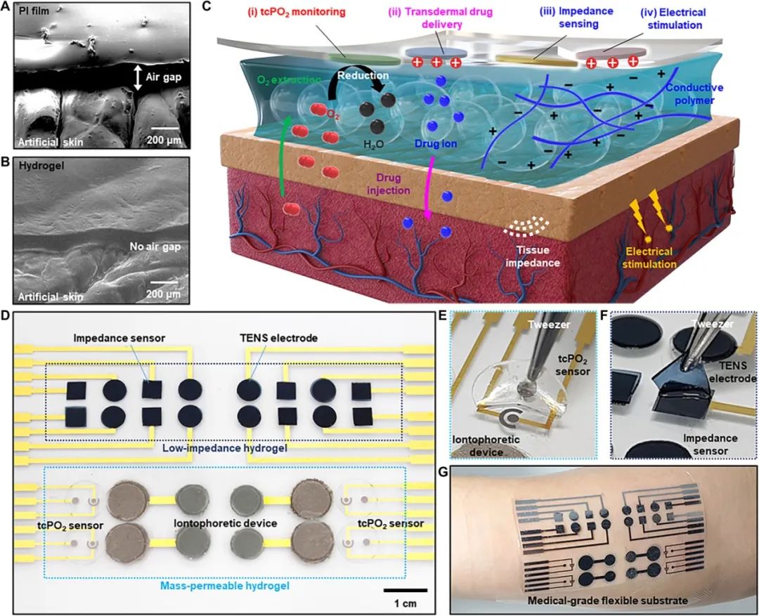 超柔软/可渗透/低阻抗水凝胶，用于可穿戴生物电子的人机界面