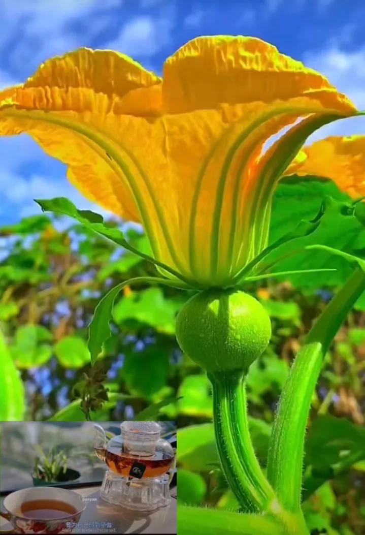 夏日的雨的诗句,原创夏日诗句