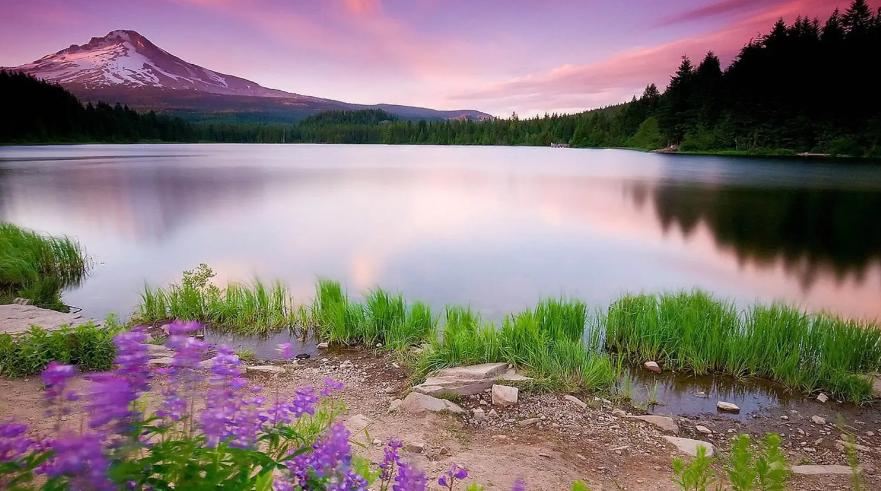 地产人速写61：从女篮时隔28年再次问鼎世界杯决赛想到的