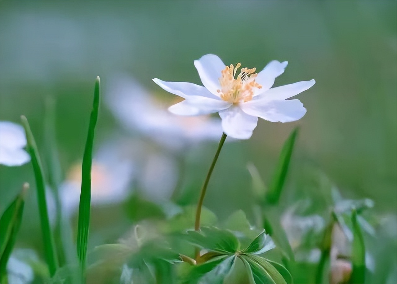 退休之后如何活好人生下半生,人退休了其实只剩下一件事要做