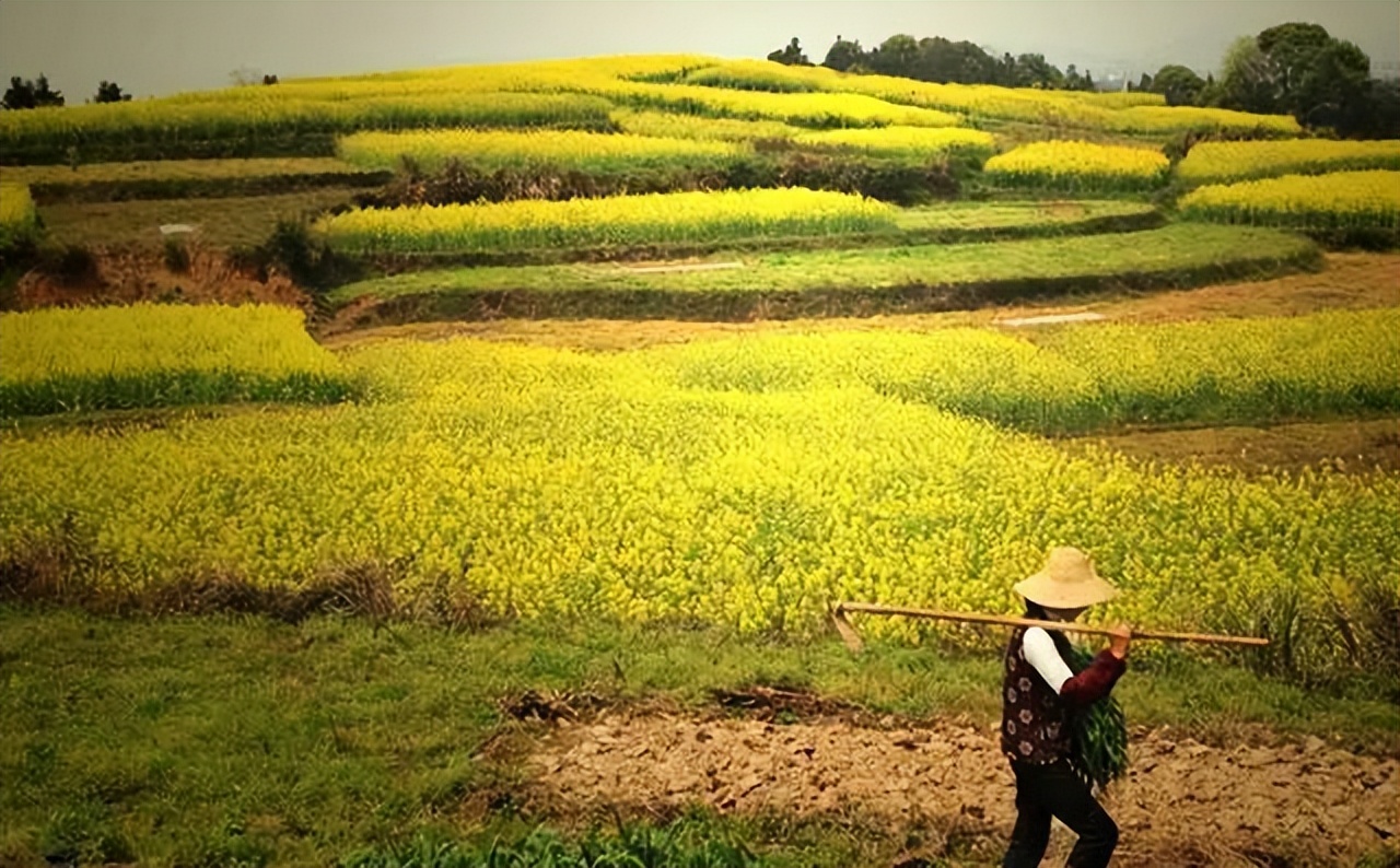 农村集体土地征收赔偿怎么分配,集体土地被征收后补偿款如何分配