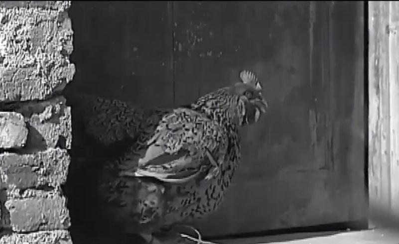 湖南村民家中怪事之谜,湖南农户发生怪事一到半夜门响