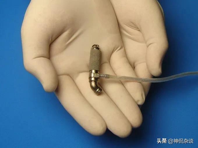 世界上鼻子最长的是什么动物,世界鼻子最长的人