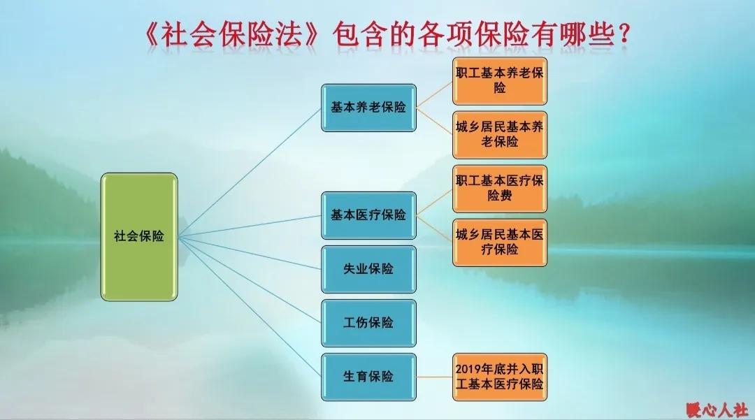 破产单位补缴养老保险有滞纳金吗,企业拖欠养老保险的滞纳金如何算