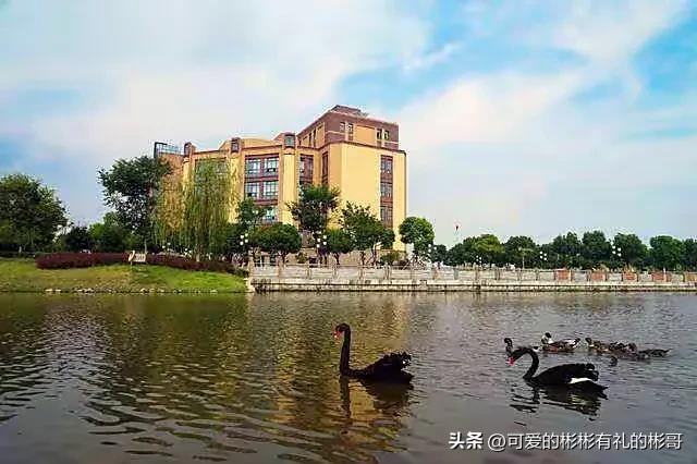 上海电机学院2023本科生好就业吗,上海电机学院本科生去向