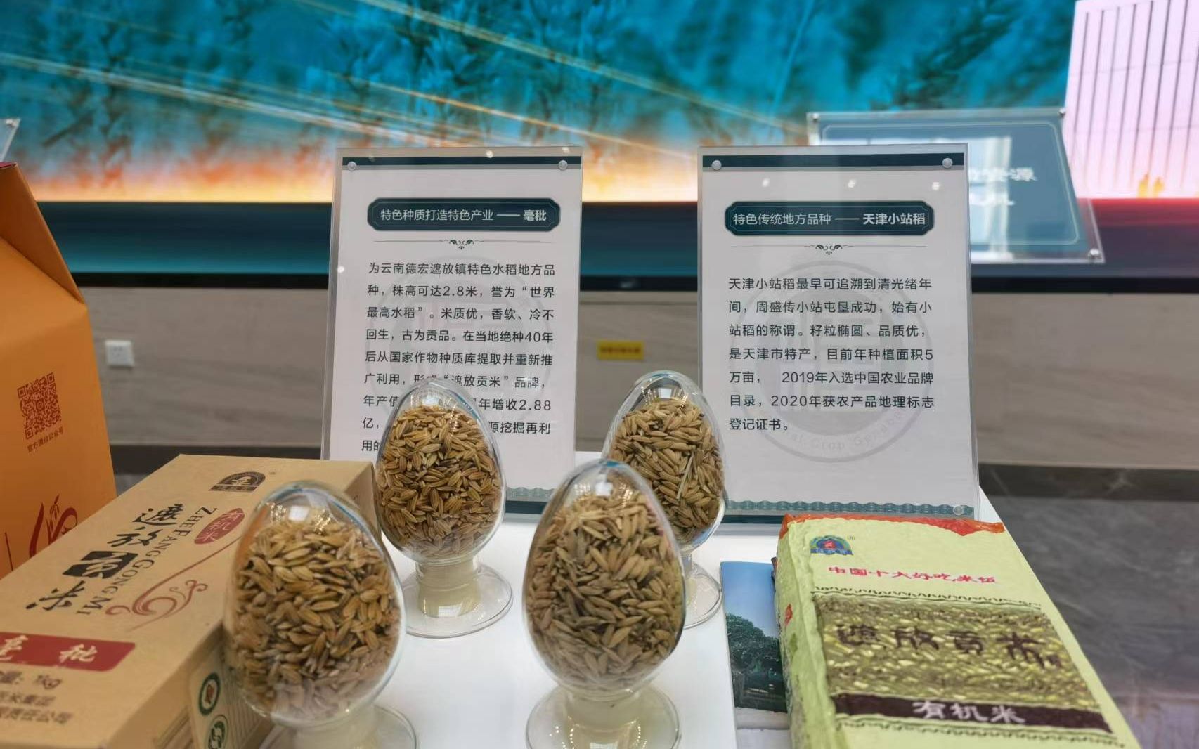 探访全球容量最大的作物“种子银行”种质库2.0是什么样的