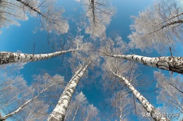 地暖改造用什么供热省钱,地暖使用说明及省钱技巧