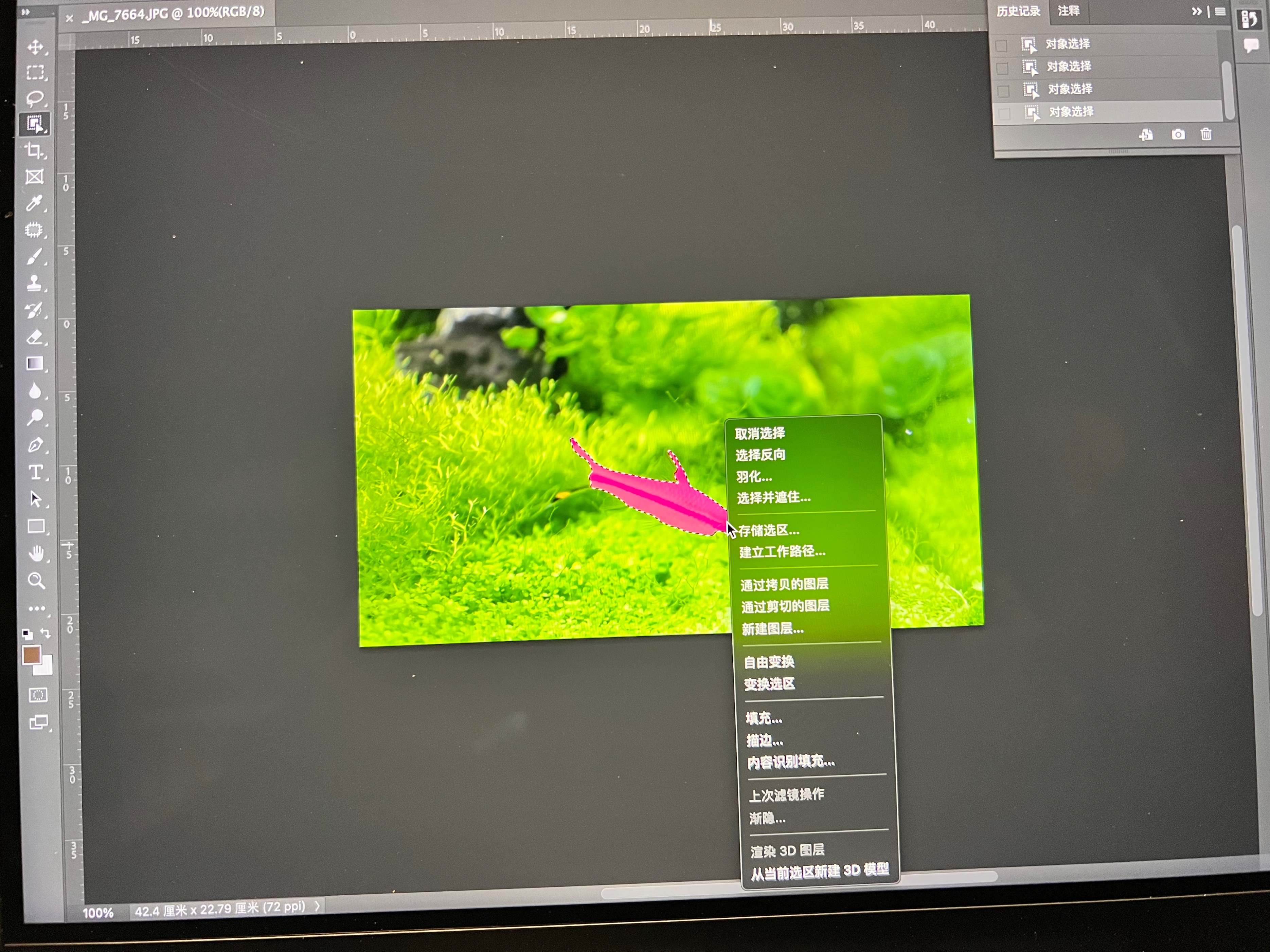 ps2023选区怎么是反向,ps2023怎么没有删除和填充选区