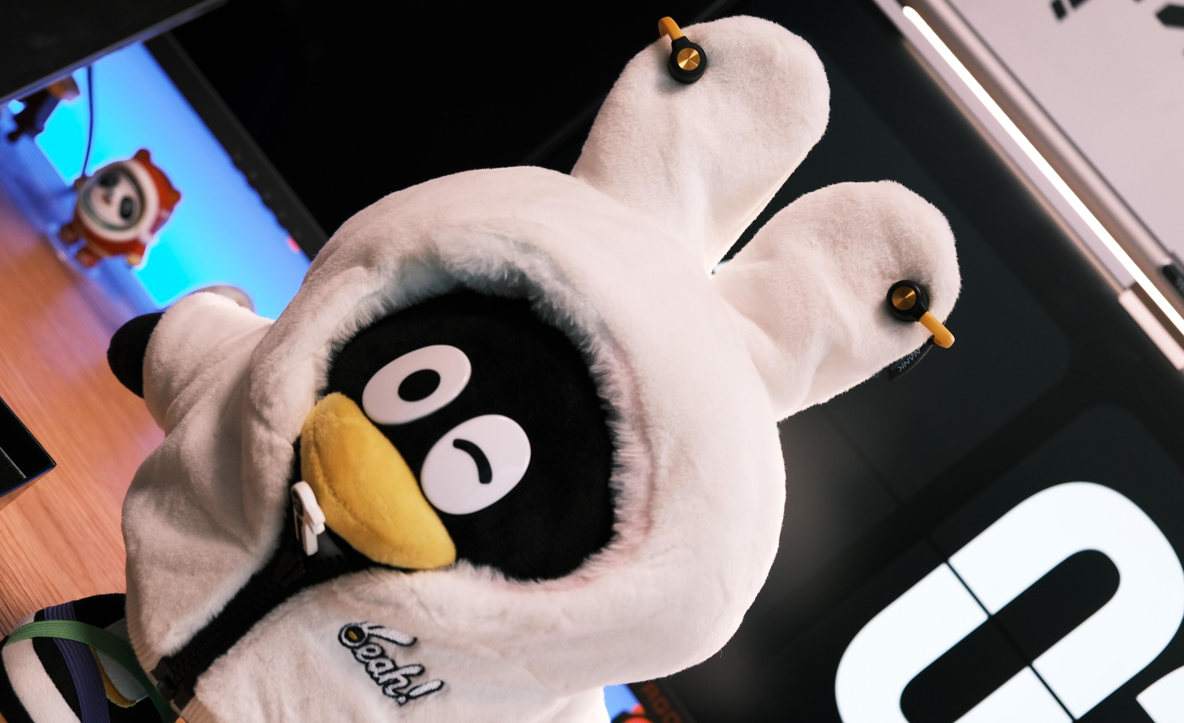 南卡oecc挂耳式蓝牙耳机,nank南卡oe真无线夹耳耳机怎么样