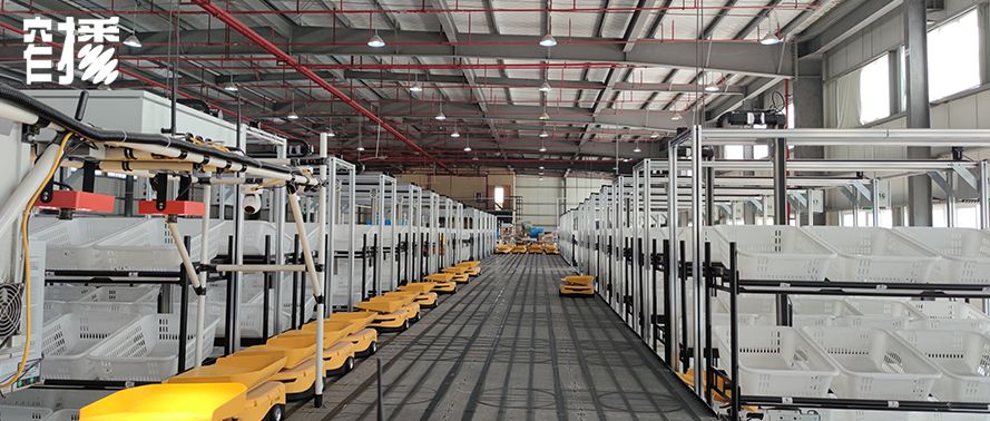 阿里巴巴m2c模式,阿里如何入驻淘工厂