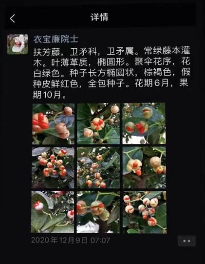 氢燃料电池真的有前景吗,氢燃料电池在中国的普及时间