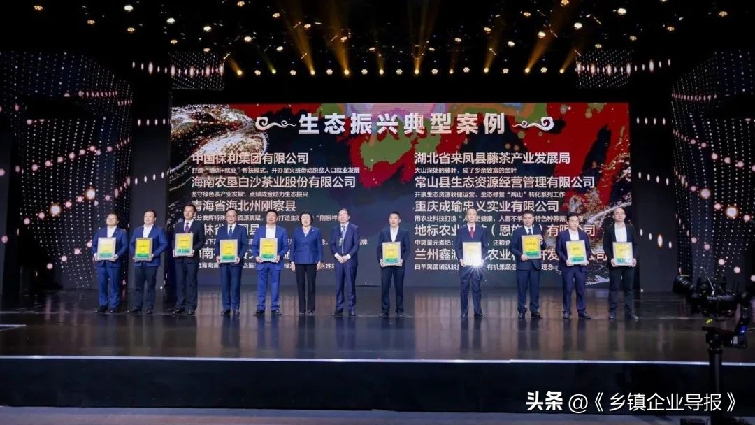 乡村振兴赋能计划人才典型案例,乡村振兴之文化振兴案例