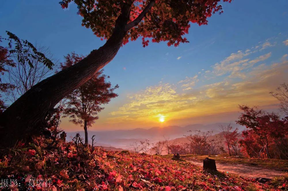 春节长白山亲子游攻略,春节假期游长白山