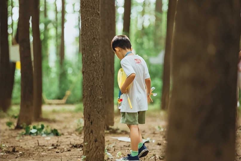 幼儿园寻找春天美术活动,寻找大自然春天幼儿园绘画简单