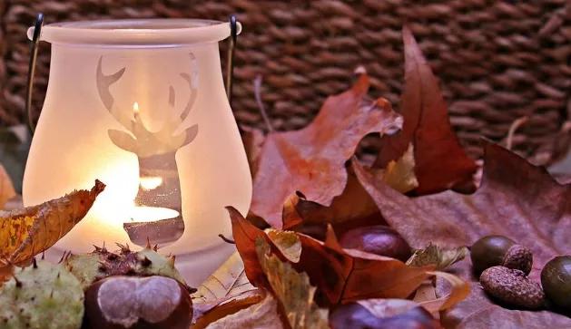 蜂蜜柚子茶可爱文案,秋天元气满满可爱文案