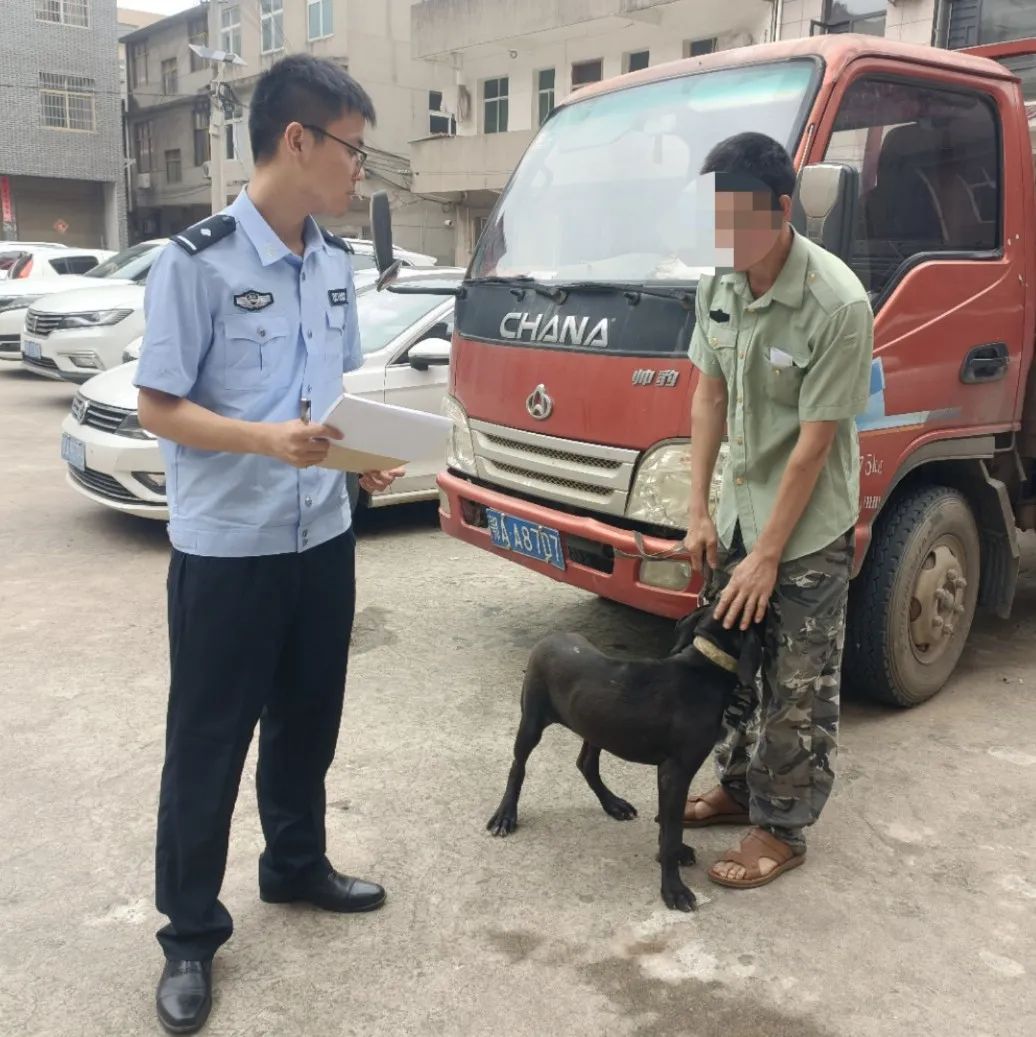 文明城市因不文明养犬被处罚,抚顺整治不文明养犬