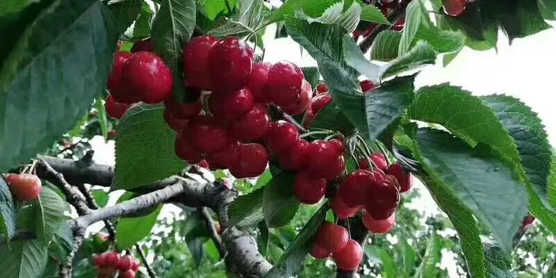 该怎样走出负债困境？