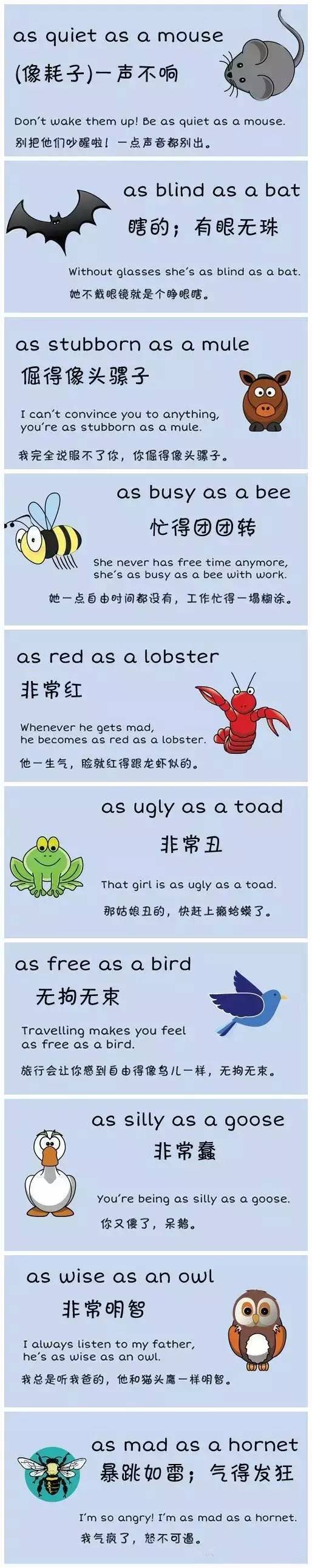 6组图，60个英文习语，轻松记住500个单词