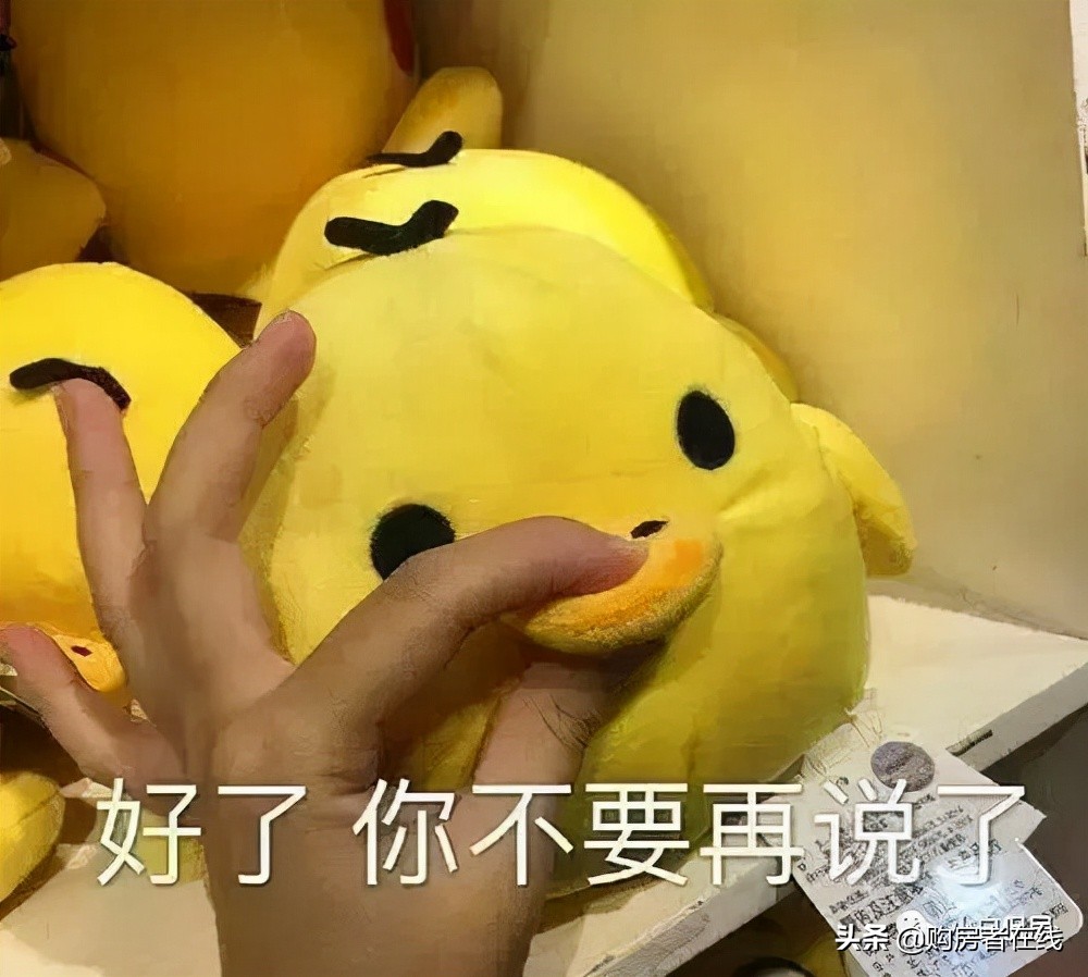 金山湖中心周边的学校,金山湖建学校