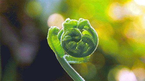 pentagramlogo,pentagon组合标志