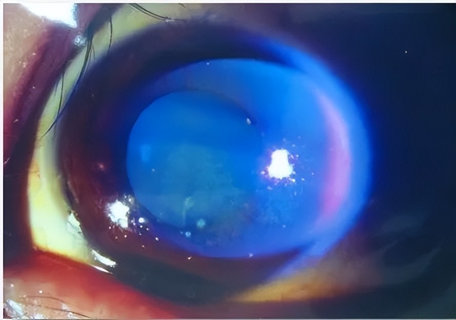 榫氬矚鍖荤敓濂藉悧,鐪肩榫氬矚鏁欐巿