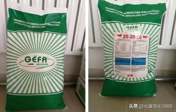 意大利、荷兰、比利时原装进口，交500顶2000；支持货到付款