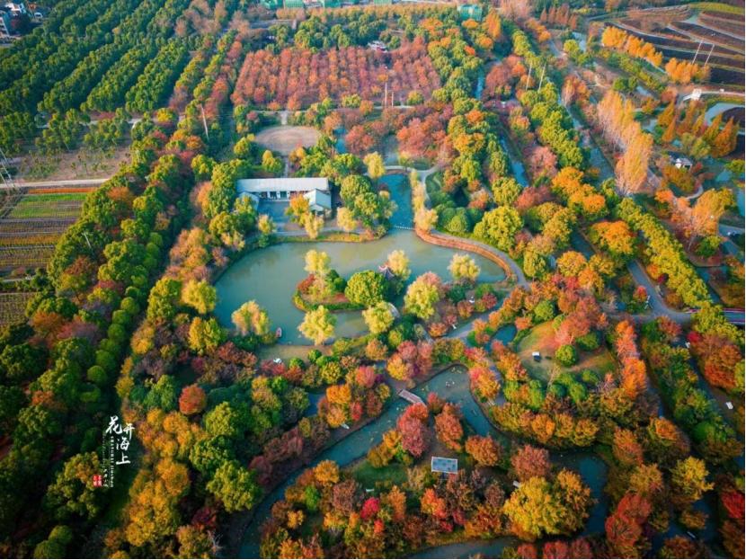 上海新评定五家a级景区,上海五星级旅游景点排名
