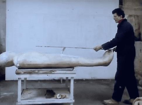 最高级的素质,顶级身体形态