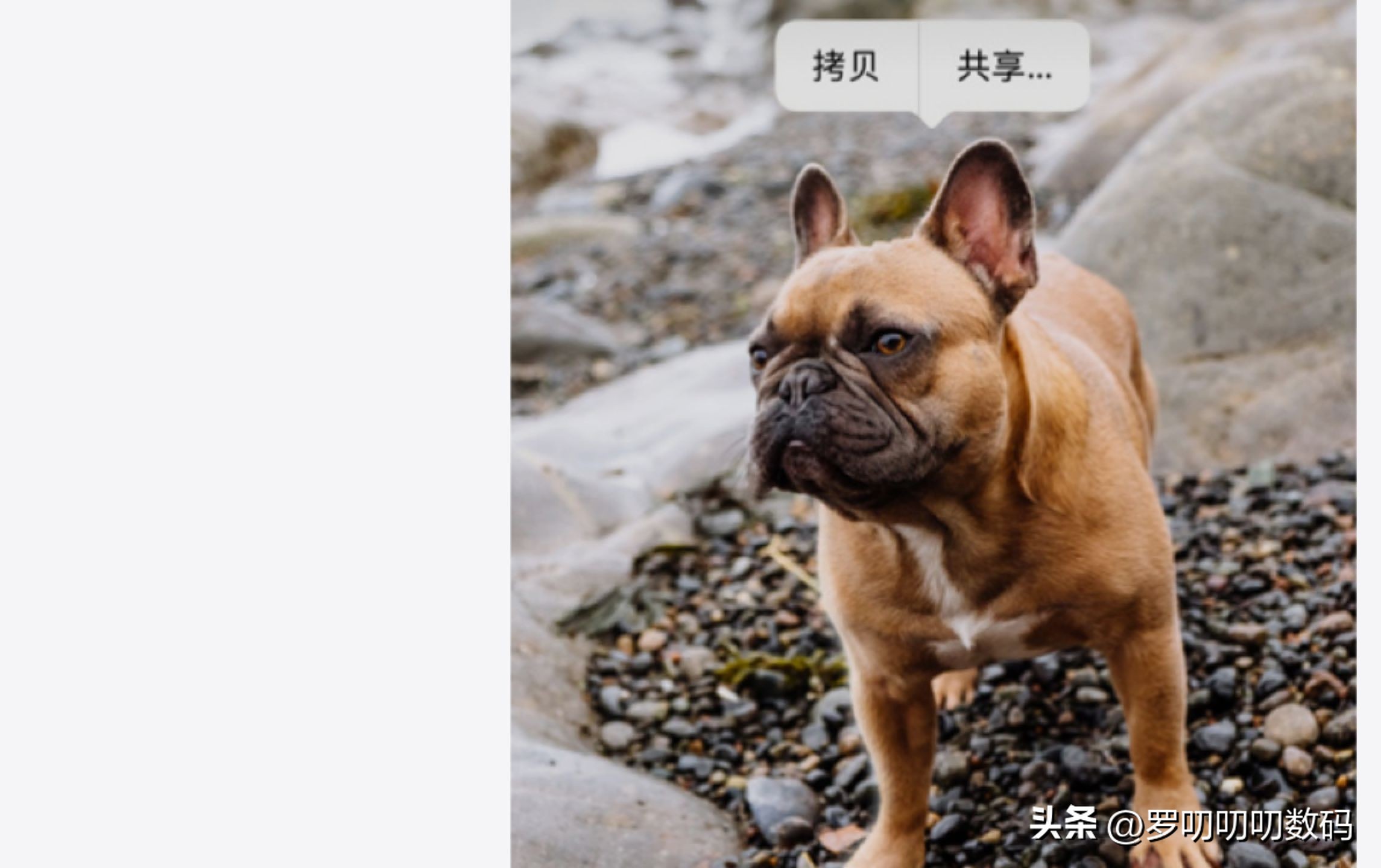 全网最全,iOS16正式版48个新功能,还在纠结是否升级的看过来