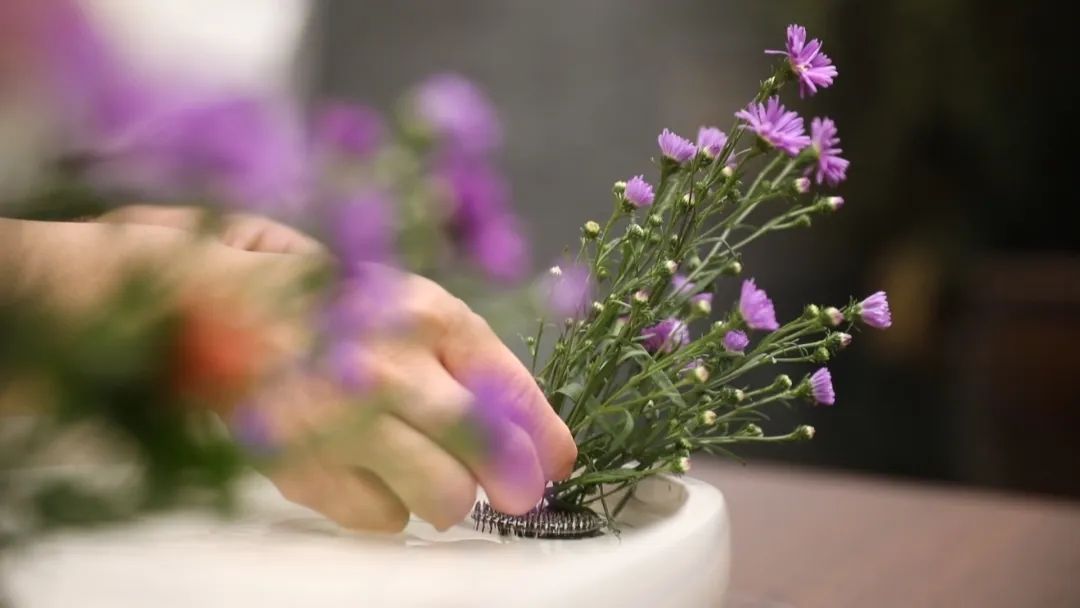 二十四节气花图文,二十四节气谷雨国花盛开的季节