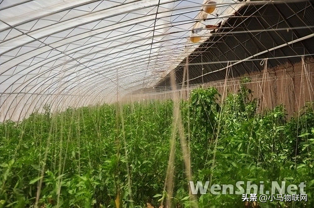 沙漠生态建设,沙漠防沙治沙综合治理示范区