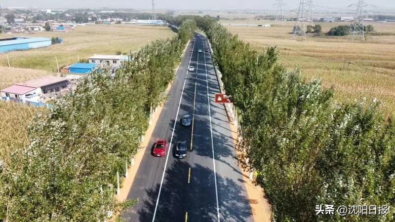 沈阳新修的各景区相连的路,沈阳新开通一条公路途经50处景点