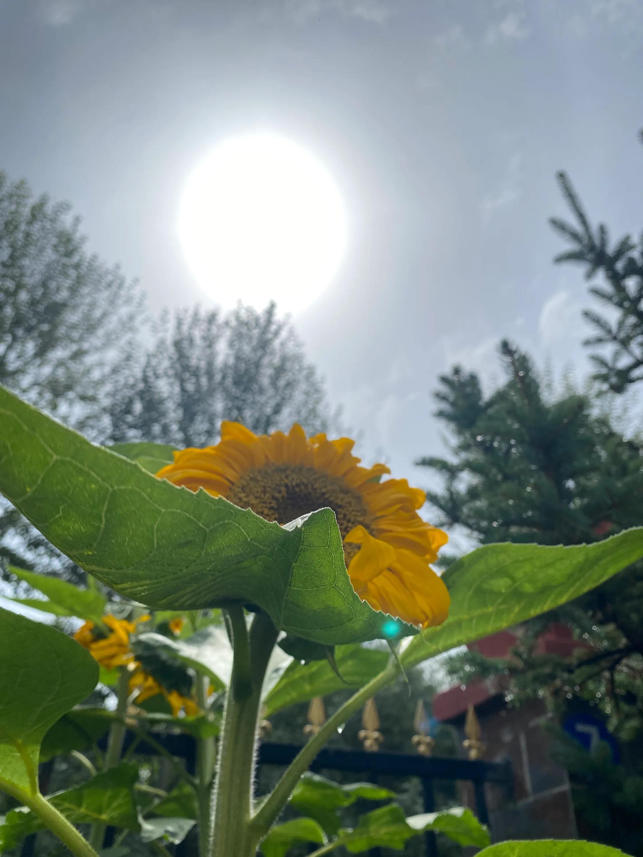 甘青环线旅游图全攻略,甘青西北大环线