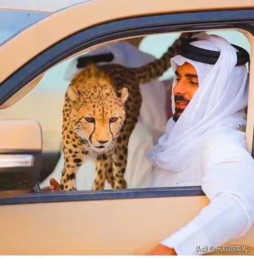 卡塔尔和迪拜哪个国家有钱,迪拜和卡塔尔哪个有钱