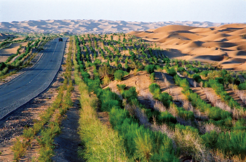 非凡十年林草建设的完美答卷