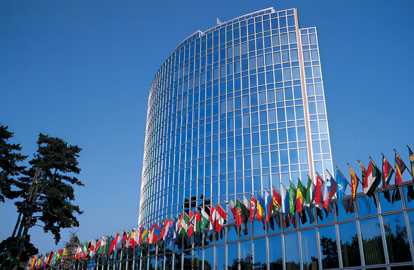 美国反对反纳粹,联合国打击纳粹主义