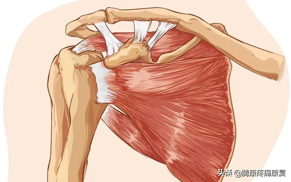颈椎病引起肩胛骨疼痛怎么缓解,右肩胛骨下方疼痛如何运动缓解