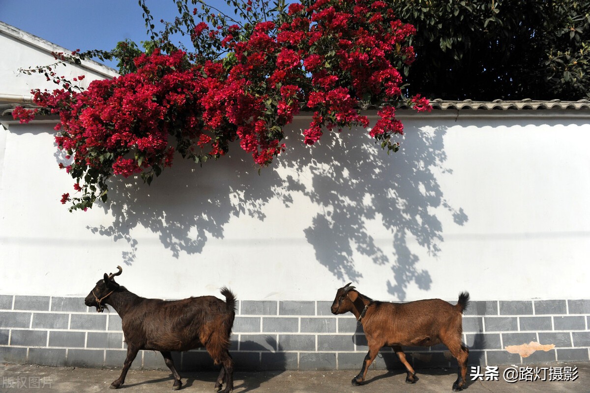 中国适合冬季避寒的地方,这才是国内避寒的七座安逸城市