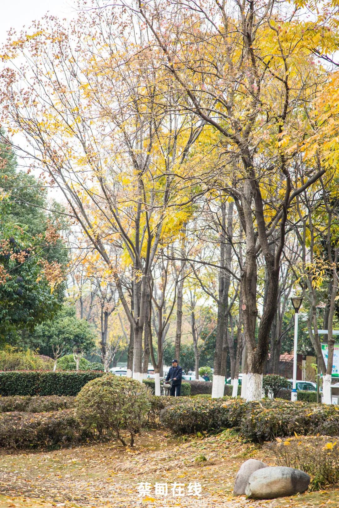 武汉气温回升,武汉气温回暖最新消息