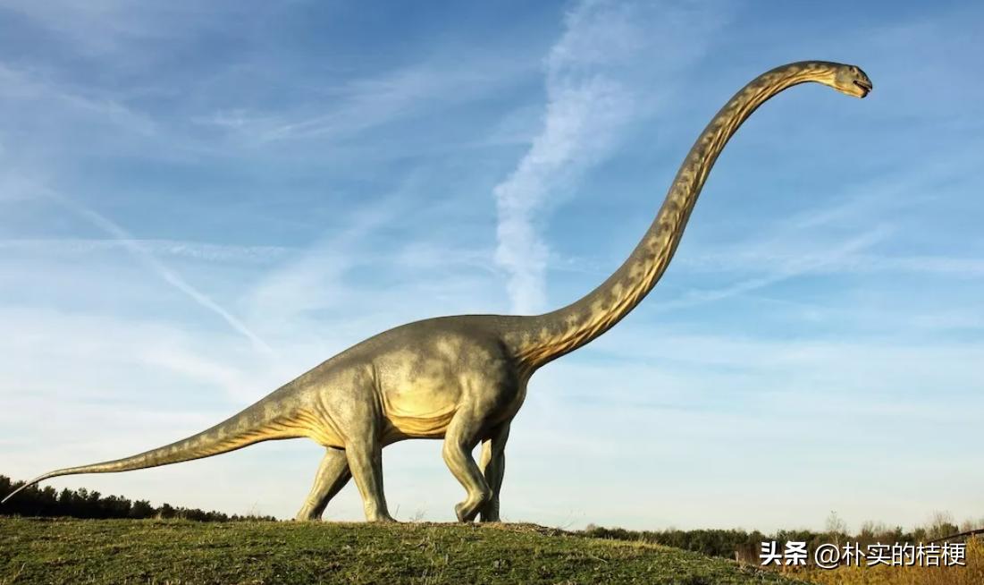 恐龙犯下的错误,恐龙错误代码