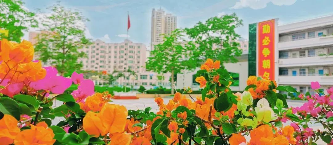 名校长培训感想,新任中学副校长任职感言